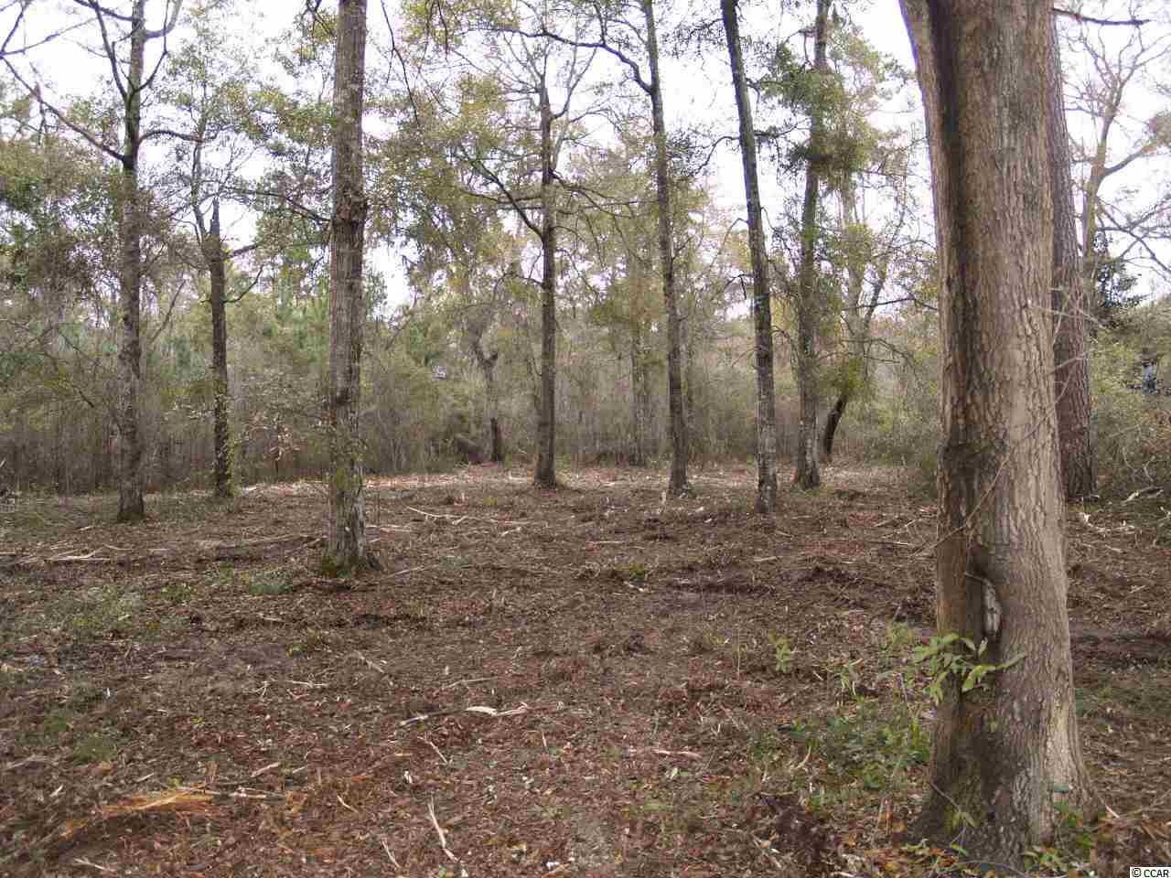 Arcadia Rd. Pawleys Island, SC 29585