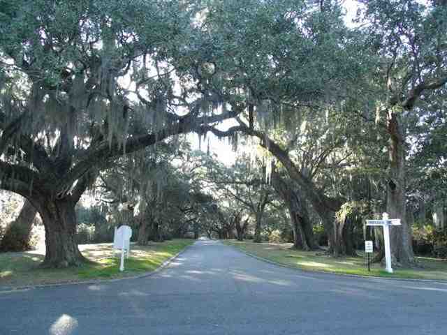 Lot 9 Tuckers Rd. Pawleys Island, SC 29585