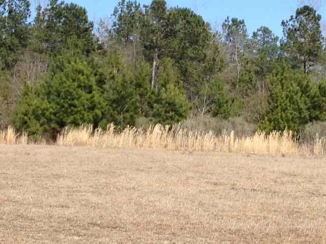 Lot 66 Cotton Tail Trail Myrtle Beach, SC 29588