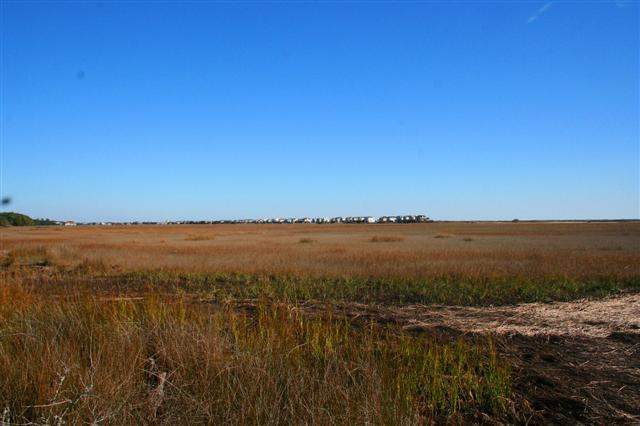 Lot 6 Grackle Ln. Pawleys Island, SC 29585