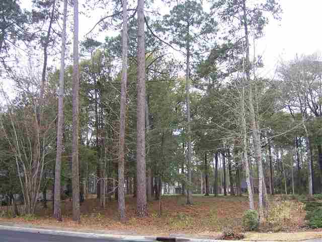 924 Heshbon Dr. North Myrtle Beach, SC 29582
