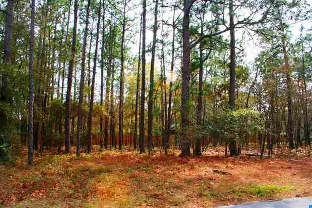 Lot 1 Birdfield Ln. Pawleys Island, SC 29585