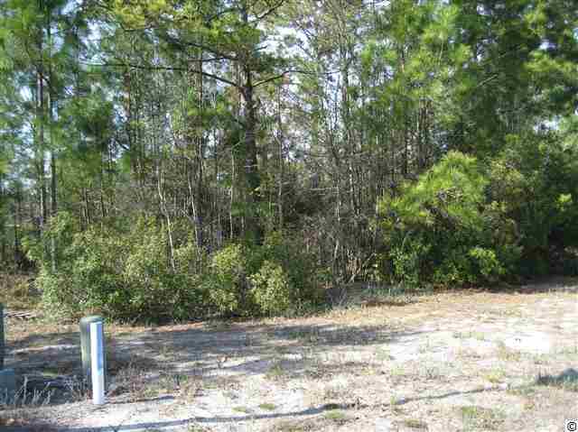 LOT 169 E Covington Dr. Myrtle Beach, SC 29579