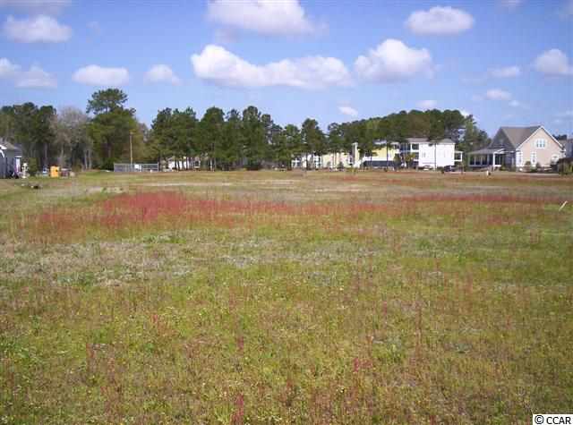 Lot 14 Wahee Pl. Conway, SC 29527