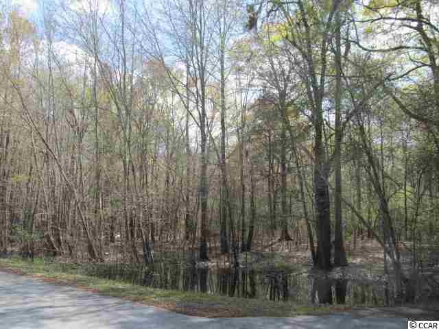 LOT 114 Waccamaw River Rd. Conway, SC 29526
