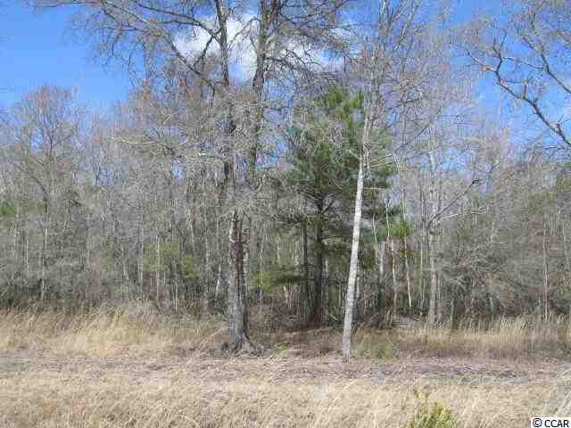 LOT 4 Lees Landing Circle Conway, SC 29526