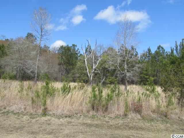 LOT 21 Redmond Ct. Conway, SC 29526