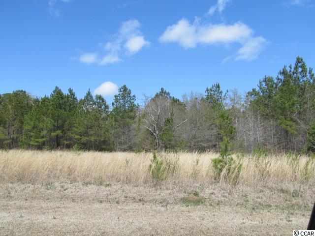 LOT 20 Redmond Ct. Conway, SC 29526