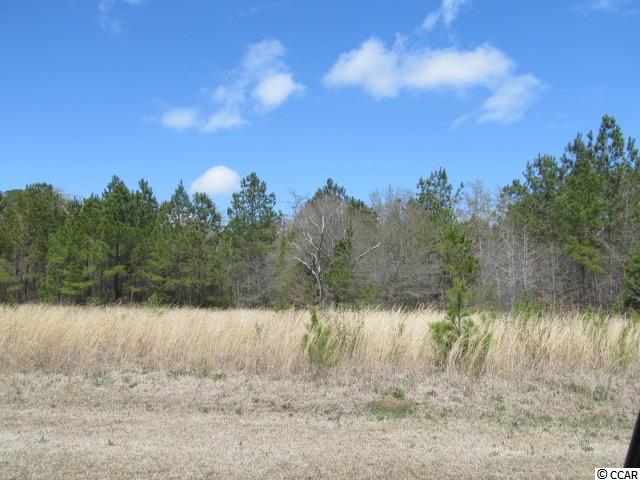 LOT 20 Redmond Ct. Conway, SC 29526