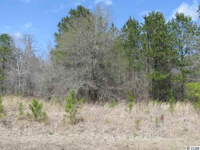 LOT 19 Redmond Ct. Conway, SC 29526