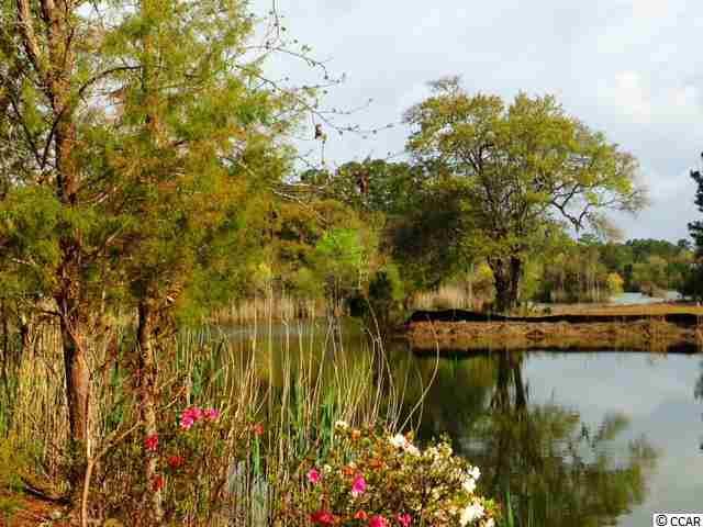 Lot 5 Lantana Circle Georgetown, SC 29440