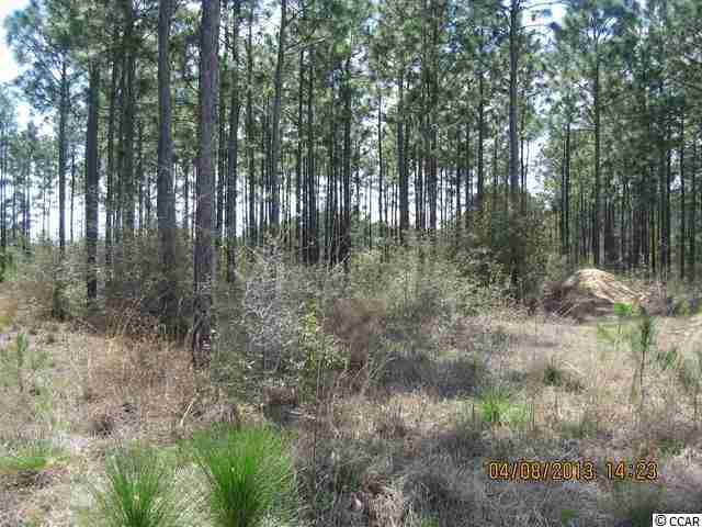 lot 1032 Kilsock Dr. Georgetown, SC 29440