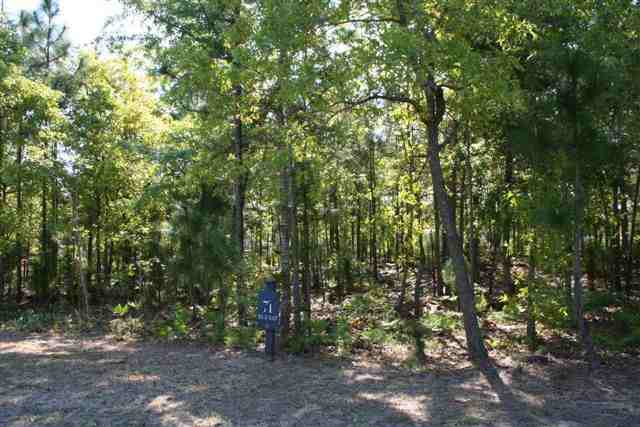 Lot 71 Tara Dr. Pawleys Island, SC 29585