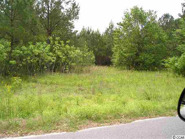 Lot 13 Bear Bluff Dr. Conway, SC 29526