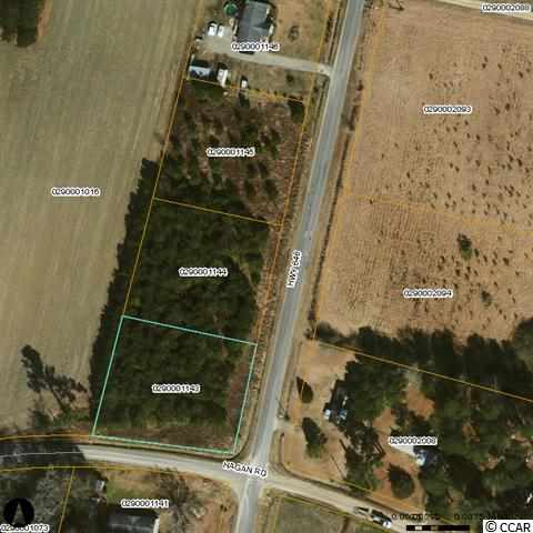 Lot 1 Highway 646 Green Sea, SC 29545