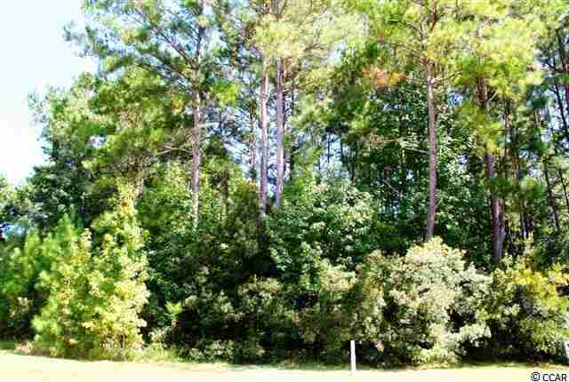 Lot 213 Waterhall Dr. Murrells Inlet, SC 29576