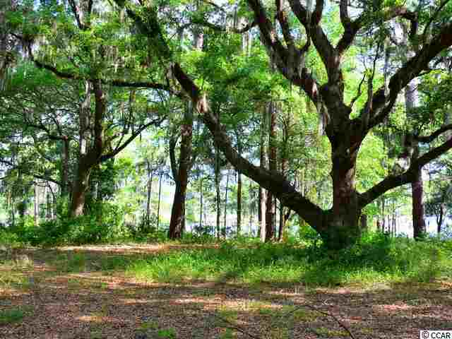 Lot 1 Rice Bluff Rd. Pawleys Island, SC 29585