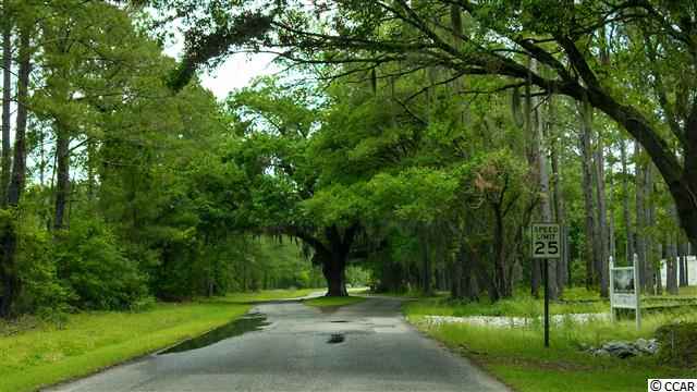 Lot 4-A & Wildhorse Dr. Conway, SC 29526