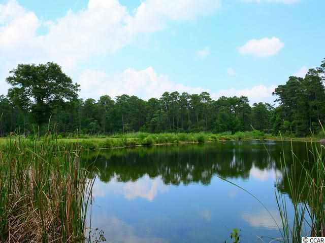 Lot 139 Ocean Lakes Loop Pawleys Island, SC 29585