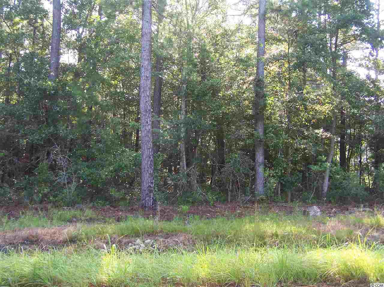TRACT 33 Highway 50 Little River, SC 29566
