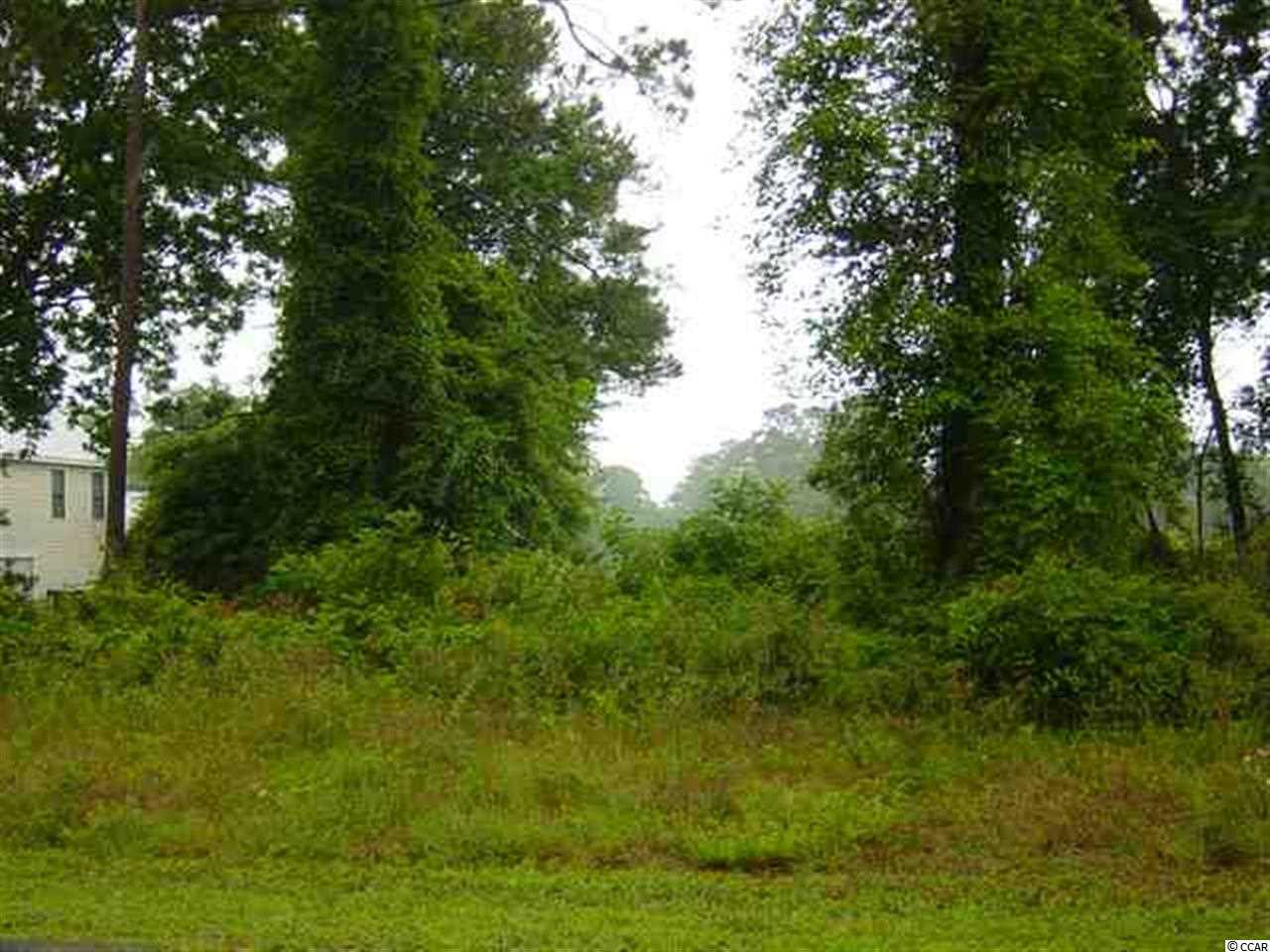 Lot 69 Cayman Loop Pawleys Island, SC 29585