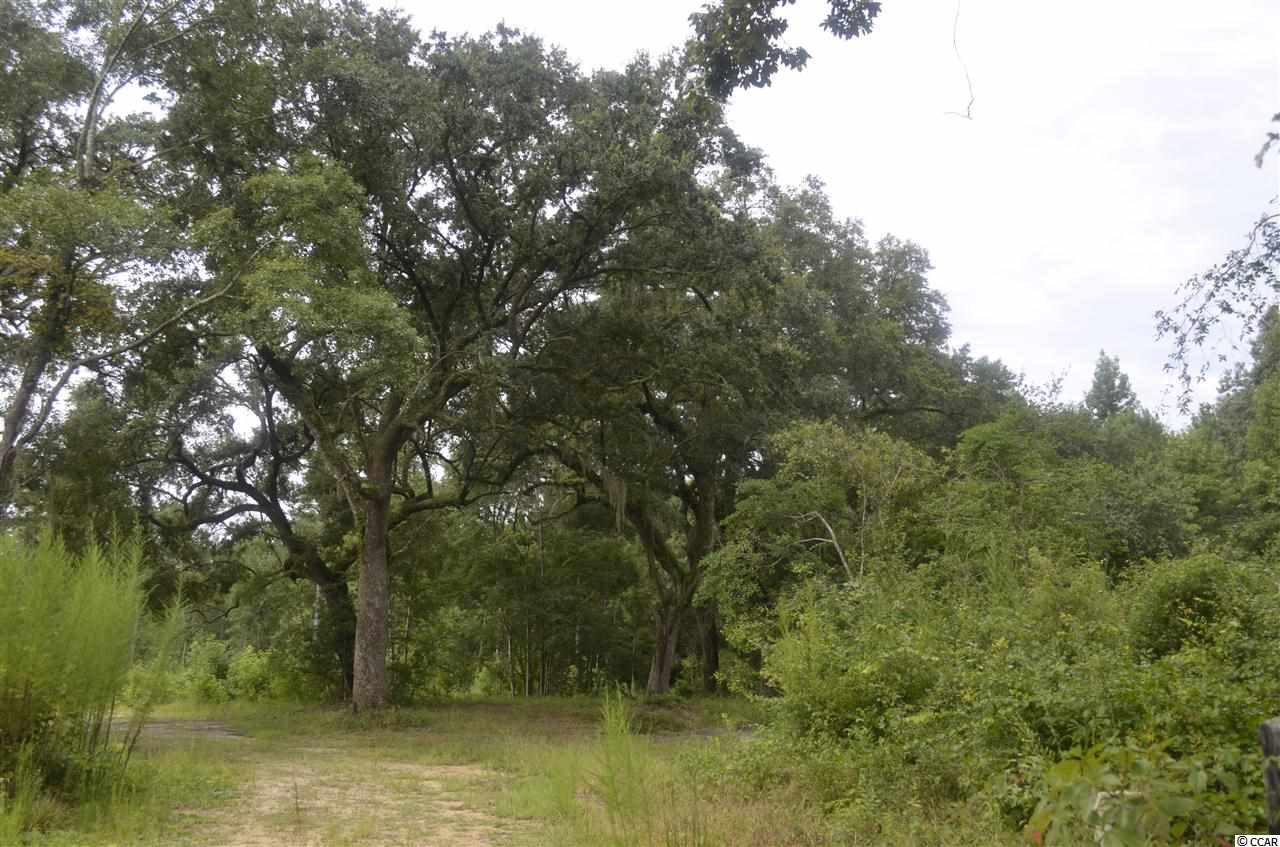 tbd Highmarket St. Georgetown, SC 29440