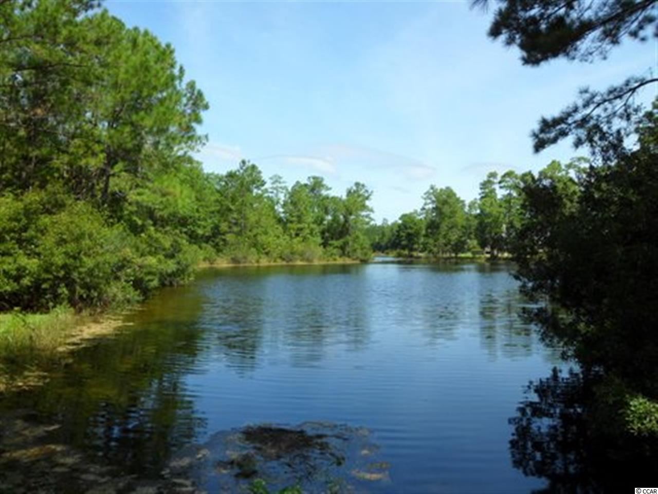 Lot 69 Nesting Pond Ct. Pawleys Island, SC 29585