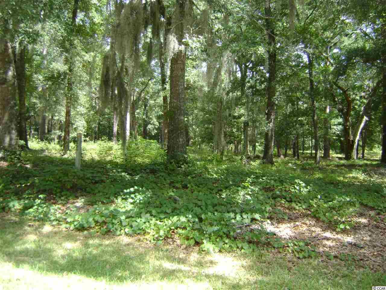 Lot 17 Cabiniss Ln. Pawleys Island, SC 29585