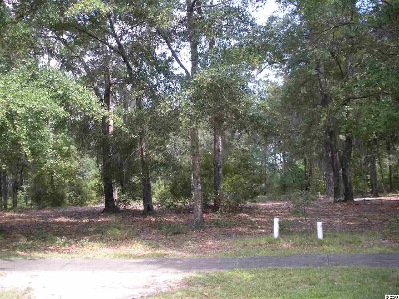 lot 59 Madison Dr. Georgetown, SC 29440