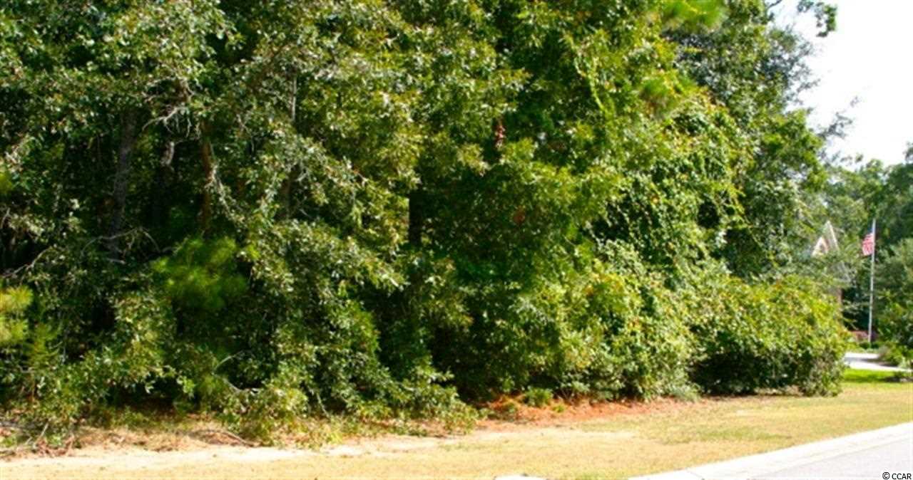 Lot 7 Preservation Circle Pawleys Island, SC 29585