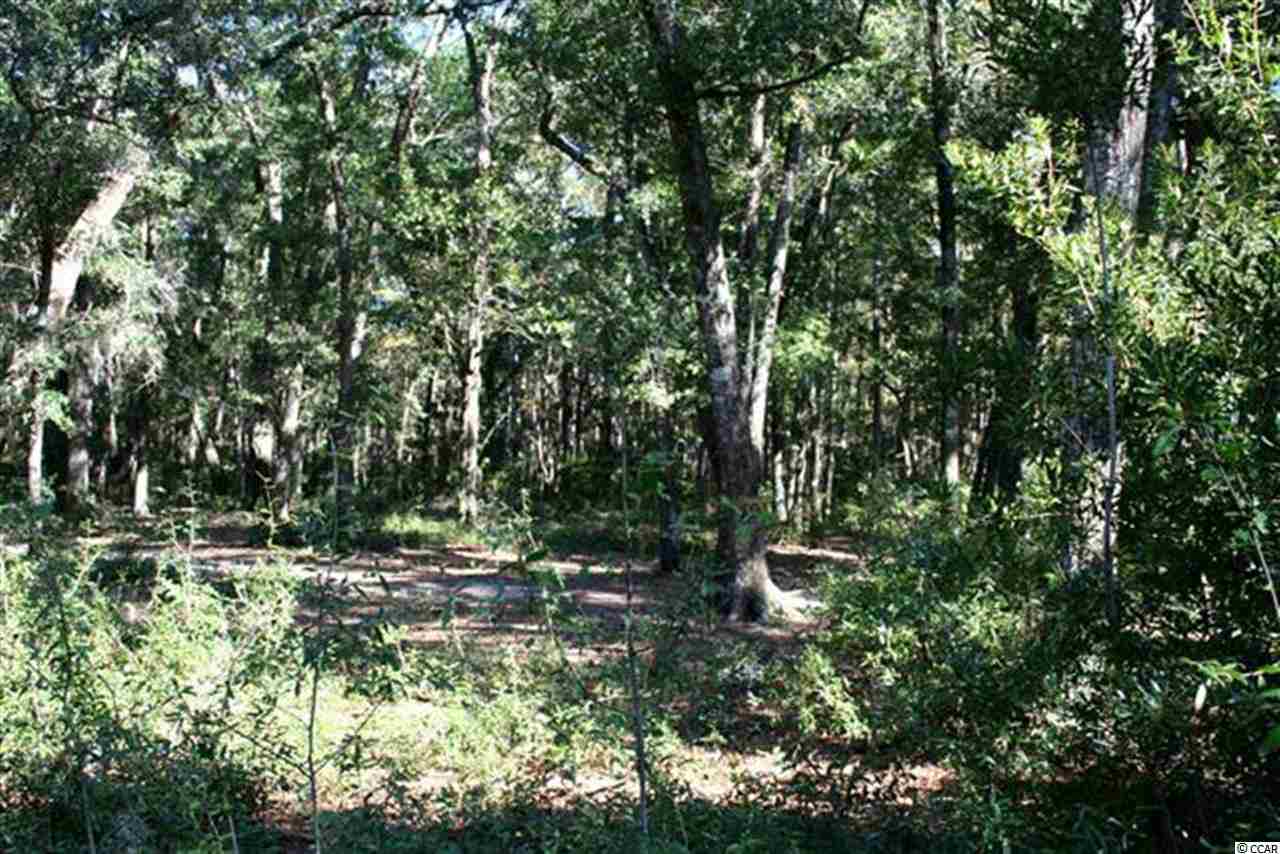 Lot 5 Island Estates Dr. Pawleys Island, SC 29585