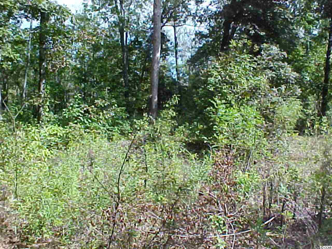 Lot 18 Gemini Circle Conway, SC 29527