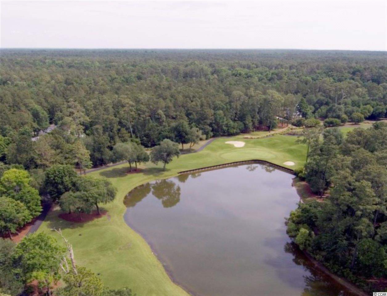 Lot 53 Wallace Pate Dr. Georgetown, SC 29440