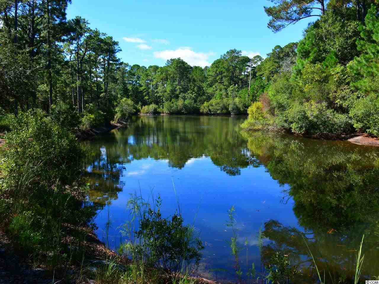 Lot 145 Ocean Lakes Loop Pawleys Island, SC 29585