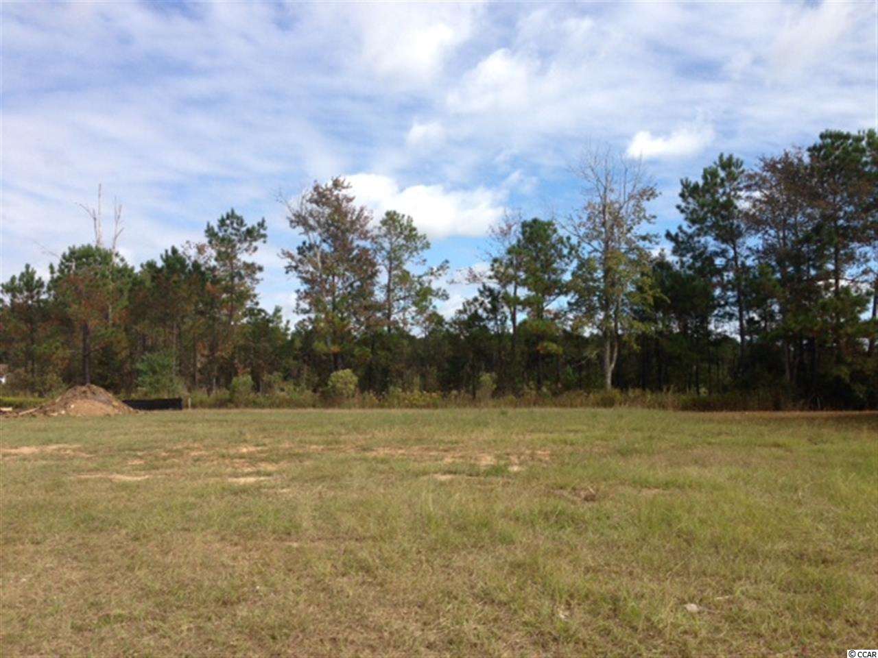 LOT 34 Sunmeadow Dr. Conway, SC 29526