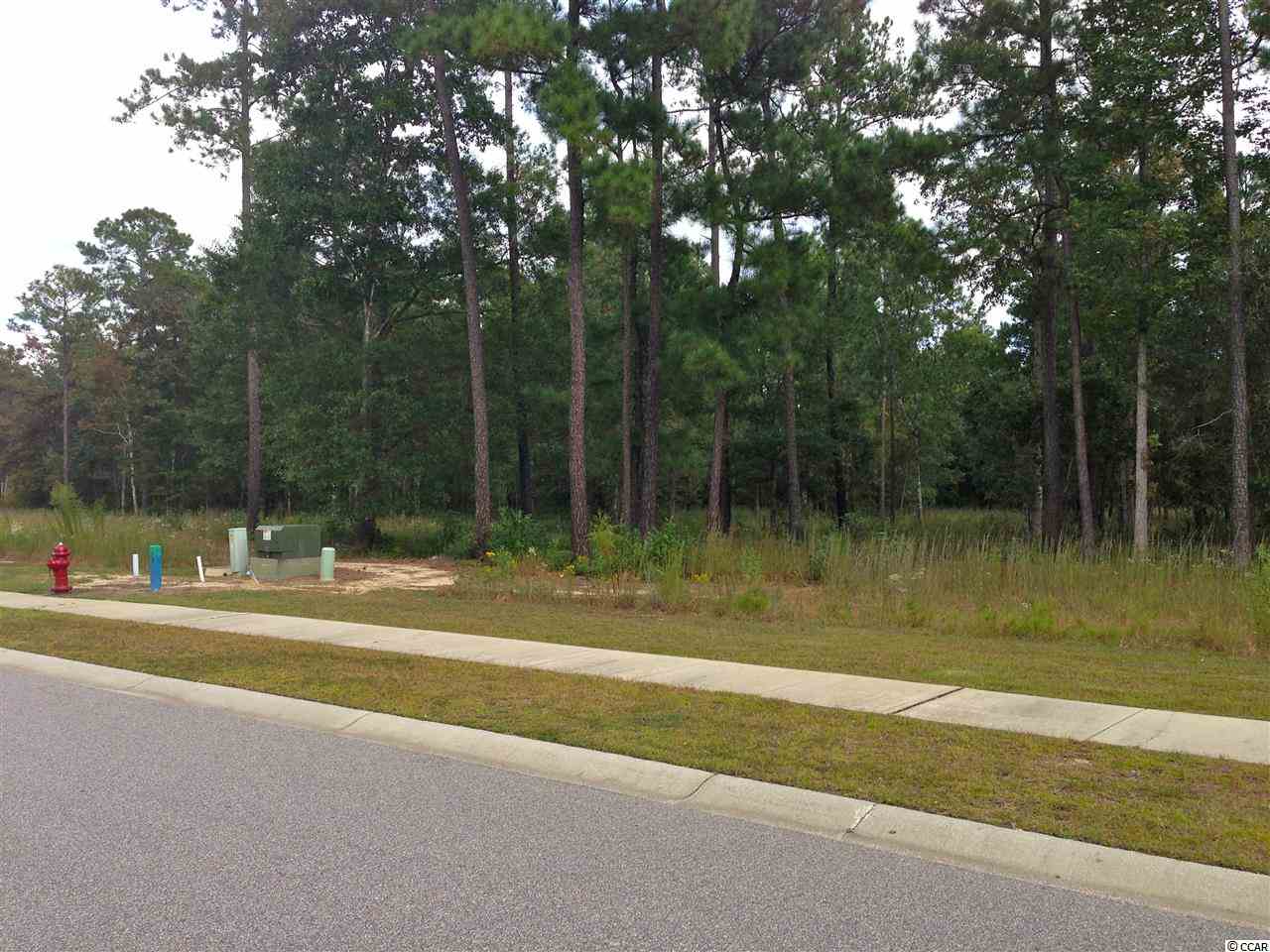 Lot 114 Henry Middleton Blvd. Myrtle Beach, SC 29588