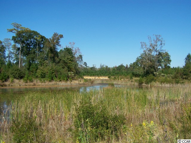 81.29 Acre Lees Landing Circle Conway, SC 29526