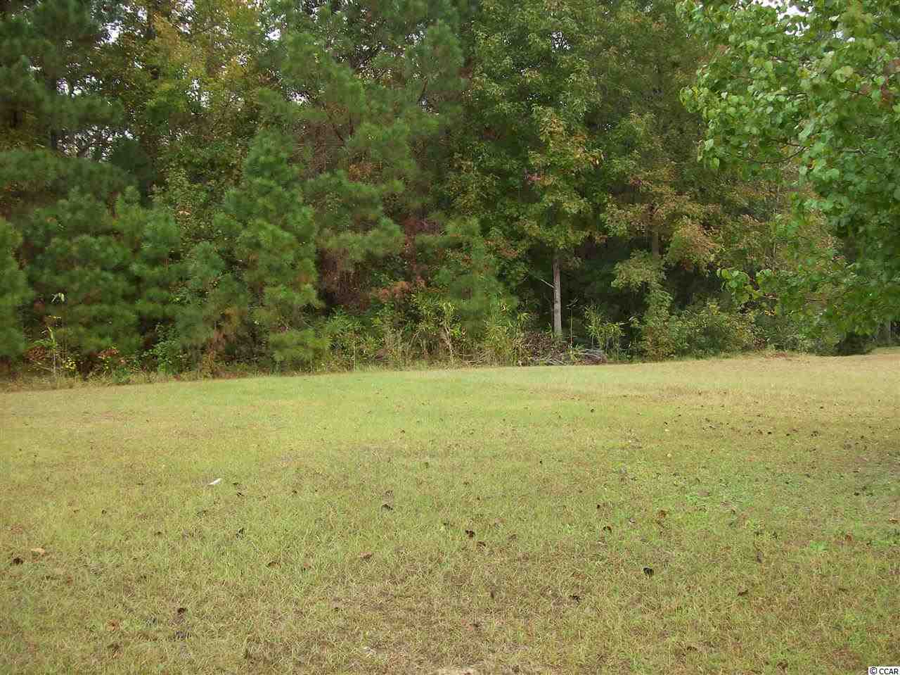 Tarrent Dr. Longs, SC 29568