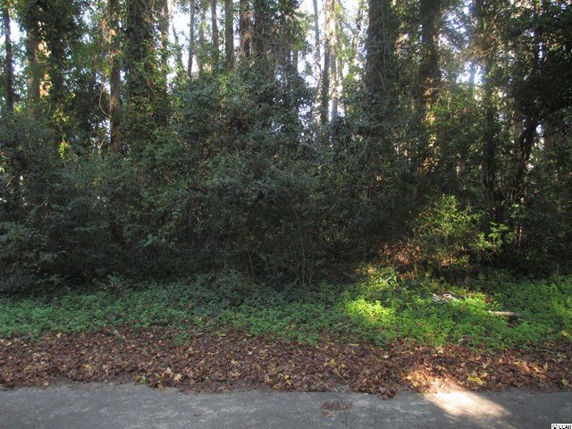Lot 312 29th Ave. S North Myrtle Beach, SC 29582