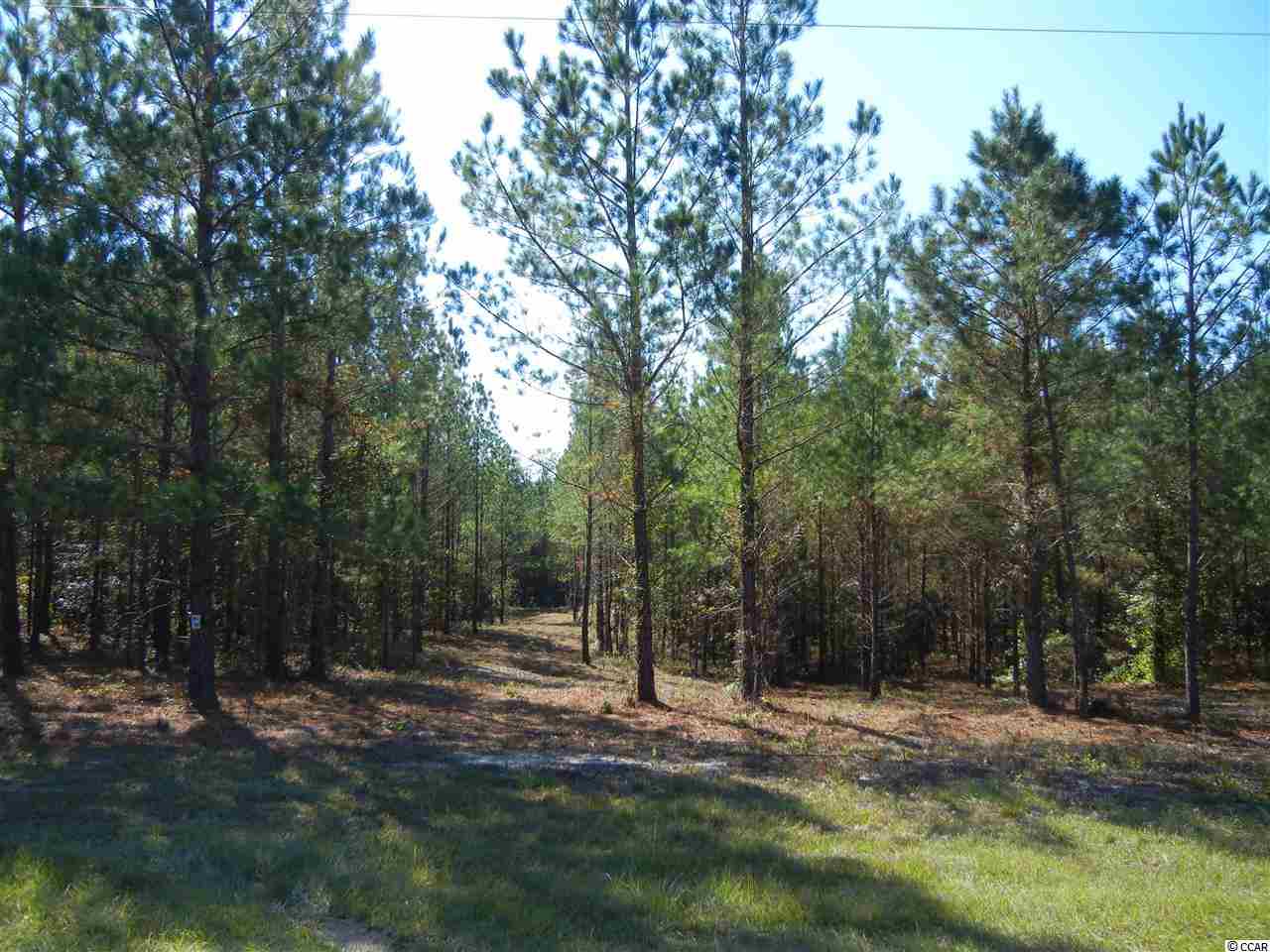 10 AC Town Creek Rd. Leland, NC 28451