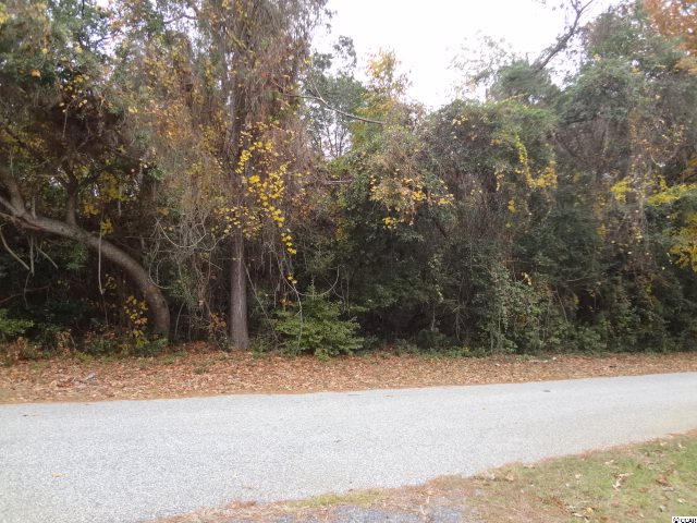 Lot 2 N 12th Ave. N Surfside Beach, SC 29575