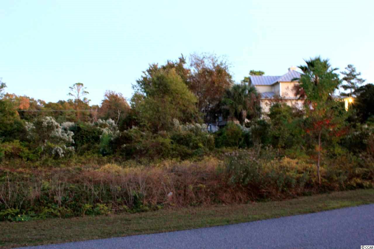 LOT 41 Cayman Loop Pawleys Island, SC 29585