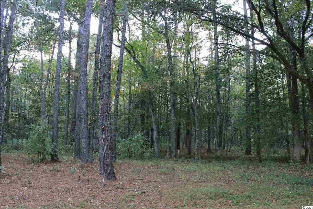 LOT 1 Makepeace Rd. Pawleys Island, SC 29585