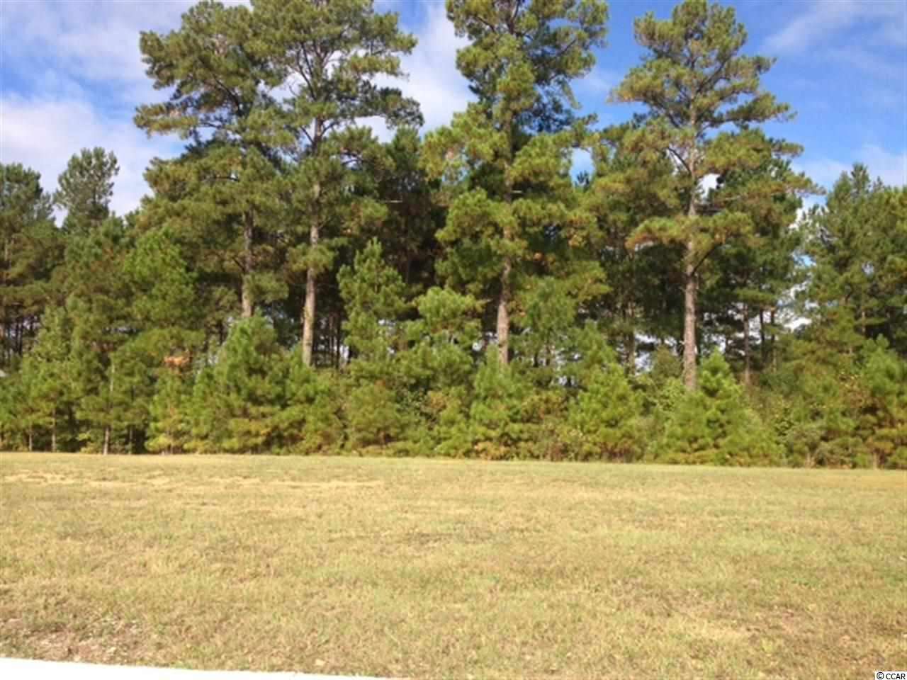 LOT 74 Tiger Grand Dr. Conway, SC 29526