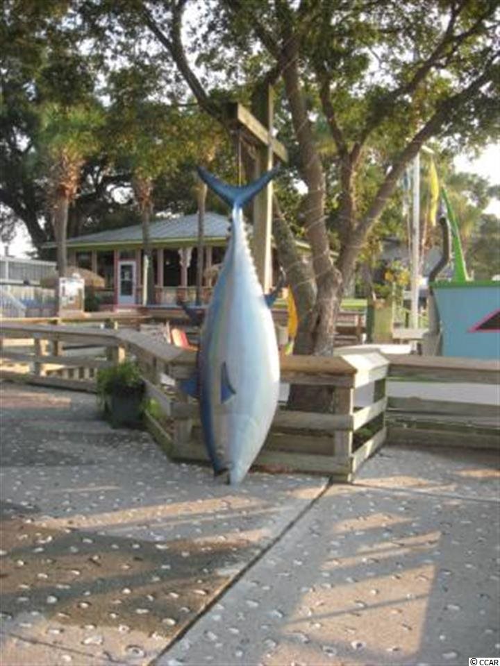 TBD Murrells Inlet Rd. Murrells Inlet, SC 29576