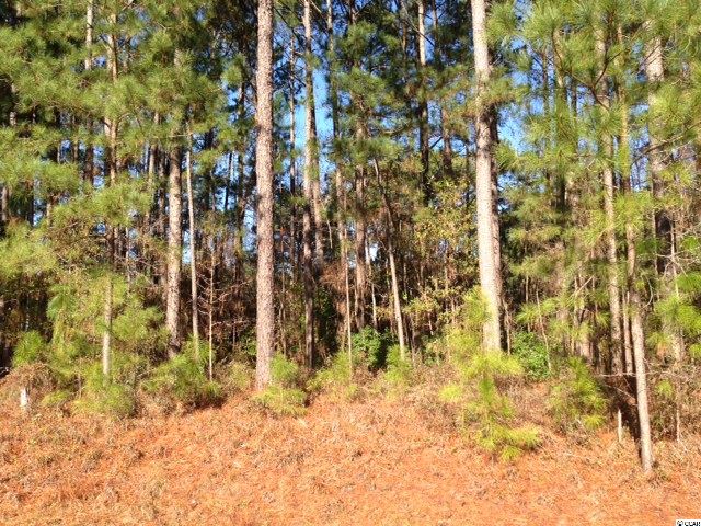 Lot 9 Winterberry Ln. Myrtle Beach, SC 29579