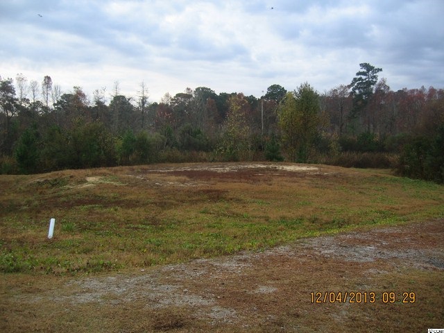 lot 147 South Island Plantation Rd. Georgetown, SC 29440