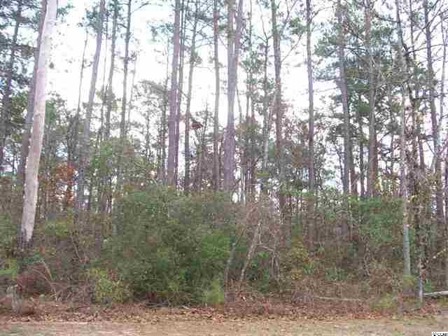 Lot 10 McOwn Dr. Conway, SC 29526