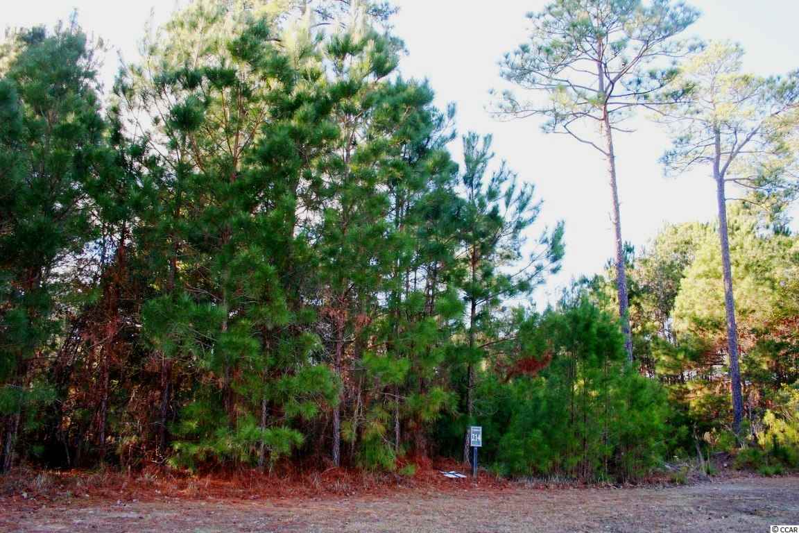 Lot 214 Camp Hill Circle Murrells Inlet, SC 29576