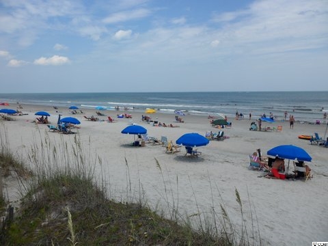 1 Norris Dr. Pawleys Island, SC 29585